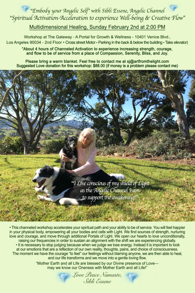 Activate Flow workshop